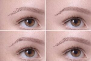 E-book PMU Signature Fine Line & Powder Brow Fusion